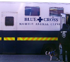 Thanks to our Customers in the Dublin Area that used us - We Donated to ...
