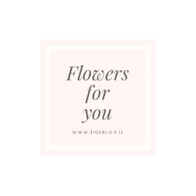 The Beautiful Flower Display